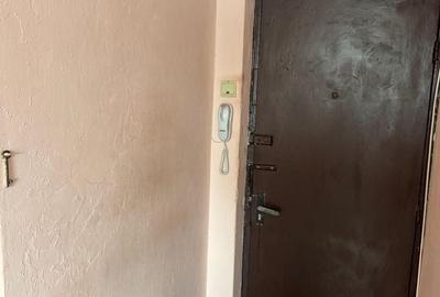 Apartament cu 2 camere semidecomandat în Rahova - 6