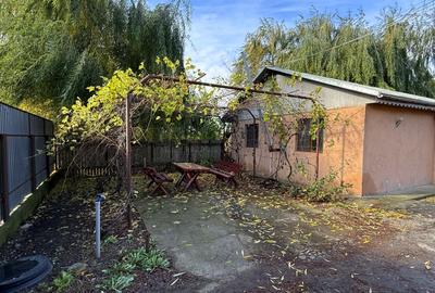 Spațiu industrial, de 200 mp, în Însurăței - 2