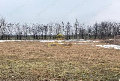 Teren de 900 mp, în Săucești - 2