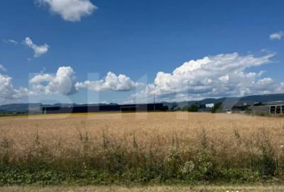 Teren de 20000 mp, în Central - 2