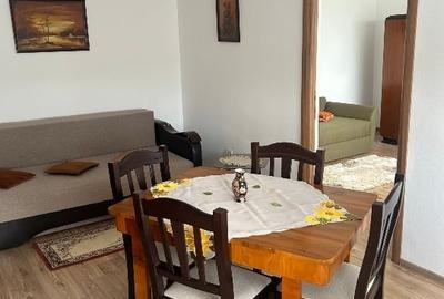Apartament cu 2 camere semidecomandat, mobilat în Ultracentral - 2
