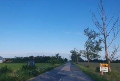 Cota de 1/2 teren intravilan, localitatea Tormac, jud. Ti... - 3