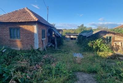 Teren Construcții intravilan de 1100 mp, în Sud-Est - 1