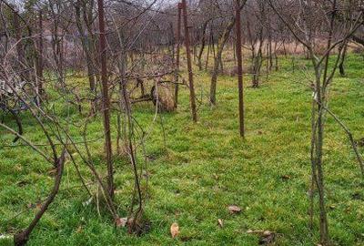 Casă cu 3 camere cu Teren 1525 Mp în Central - 5