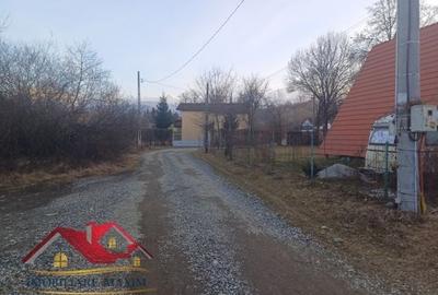 Imobiliare Maxim - teren Valea Avrigului - 6