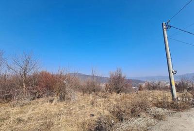 Teren de 9100 mp, în Petrișor - 3