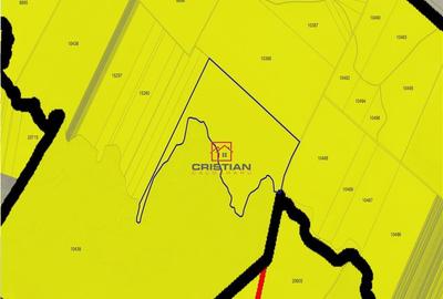 Teren agricol Corbii Mari, Dambovita - 3