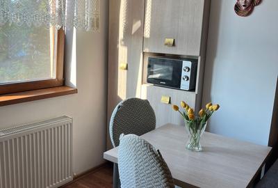 Apartament cu 2 camere semidecomandat în Bucșinescu - 2