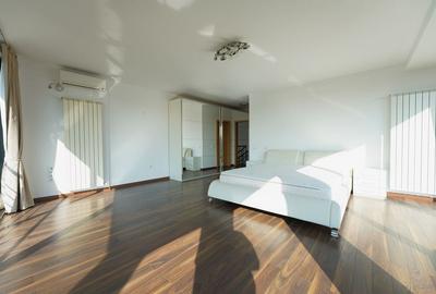 Panoramic View to Herastrau Lake, 5 rooms apartment - 15