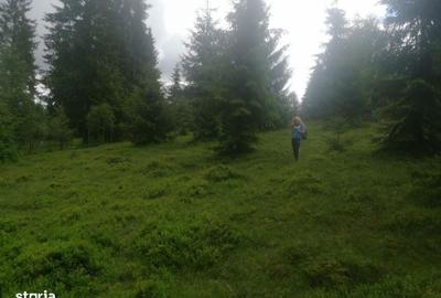 Spațiu comercial, în Beliș - 3