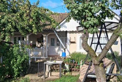 Casa si teren 2000mp Draguseni - 3