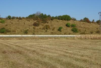 Teren agricol extravilan de 30000 mp, în Băicoi - 7