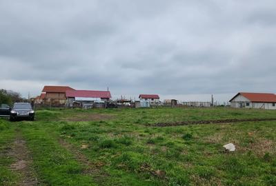 Casă cu 3 camere în Rogova - 4