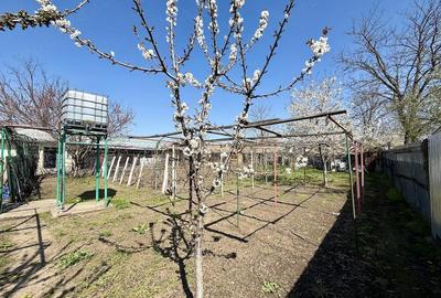 Casă cu 5 camere cu Teren 1613 Mp în Dor Mărunt - 5