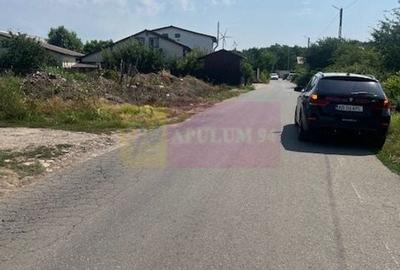 Teren Clinceni- Fortului- Ortansei. - 3