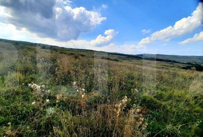 Teren de 5800 mp, în Pădureni (Chinteni) - 4