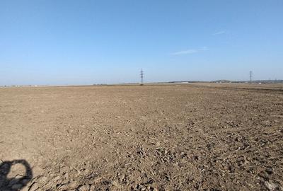 Teren pentru Parc Logistic, hale - Ovidiu - 6