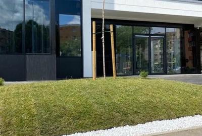 Spatiu comercial 180 mp Mihai Viteazul - 3