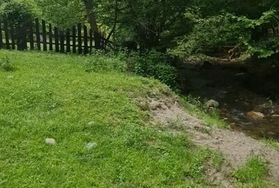 Teren de 4800 mp, în Căpâlna - 3