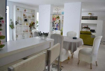 Casa 270 mp utili + teren generos 4330 mp-Peciu Nou - 3