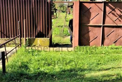 Teren de 9800 mp, în Buciumi - 1