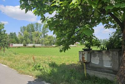 Spațiu comercial, în Bolintin-Deal - 6