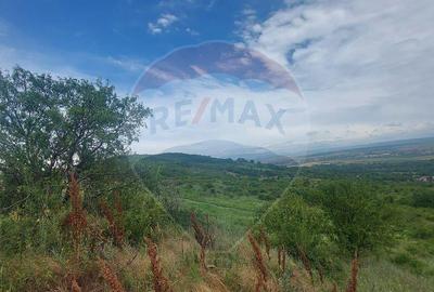 Teren intravilan in Oradea, Str. Piatra Craiului, Bihor - 7