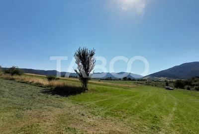 Teren 2400 mp cu deschidere 18 m in Orlat oportunitate investitii - 9