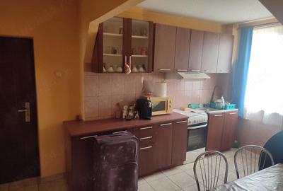 Apartament cu 2 camere semidecomandat în Șuncuiuș - 15