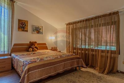 Casa de vacanta sau investitie turistica in Gresu - langa Lepsa - 47