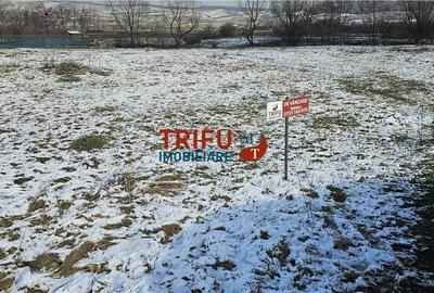 Spațiu comercial, în Micești - 4