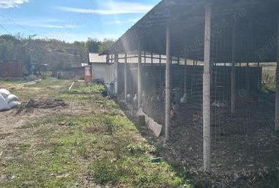 Ferma de vanzare , zona Dambu - 8