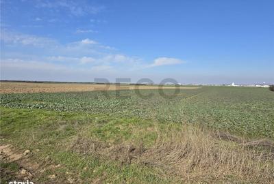 Teren de 22418 mp, în Calea Aradului - 6