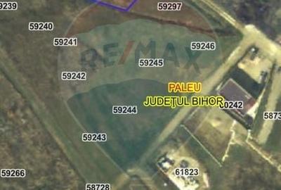 Teren Construcții intravilan de 1200 mp, în Săldăbagiu de Munte - 15