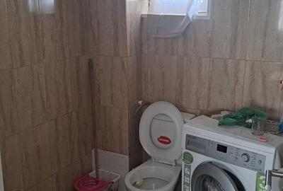 Salaj, Pecineaga Salaj, Pecineaga - 3