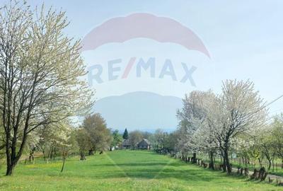 Teren in cea mai turistica localitate din Romania - Breb... - 2