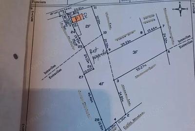 Teren 3950 mp in Capataneni Arges - 2