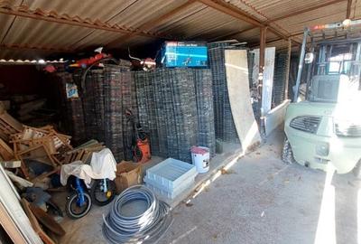 TEREN 3000 MP | 723 MP HALE DE PRODUCTIE | CUMPANA| POZITIE EXCELENTA| - 2