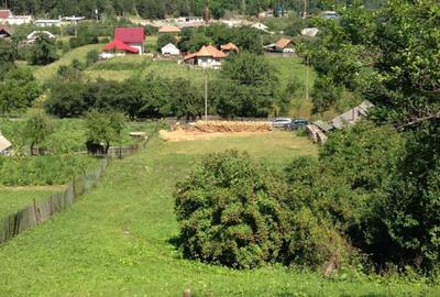 Spațiu comercial, în Bistricioara - 1