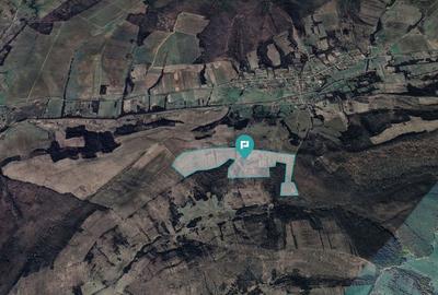 Teren de 401200 mp, în Secaș - 3