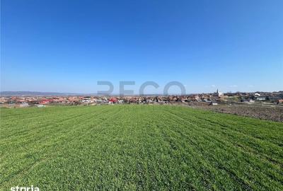 Teren de 5375 mp, în Oșorhei - 2