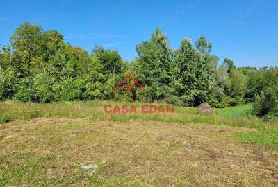 Teren intravilan in Poiana Campina 4285 mp parcelabil 11,6e - 3