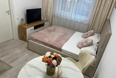 Garsonieră nedecomandată în Roșu - 1