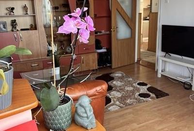 Apartament 2 camere etajul 2 Craiter - 3