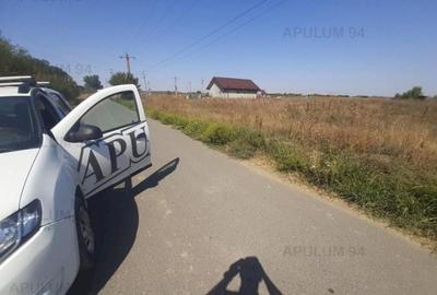 Teren pentru case in 1 Decembrie - 1