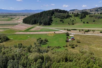Teren de 6600 mp, în Vale - 7