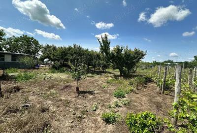 Casa de vanzare Comuna Mitreni sat Valea Rosie langa Manastirea Buna Vestire - 3