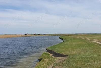 Casă cu 5 camere în Spiru Haret - 1