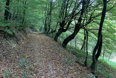Casă cu Teren 1000 Mp în Central - 2