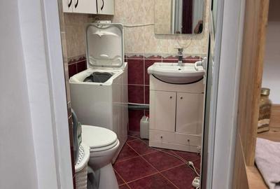 Apartament cu 3 camere decomandat în Malu Roșu - 8